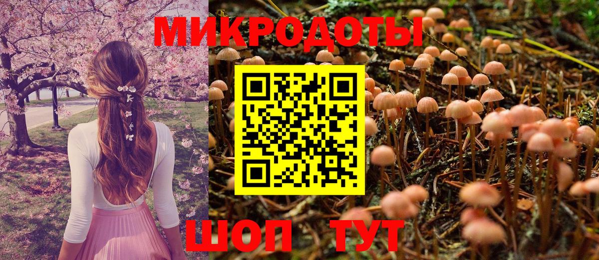 Псилоцибиновые грибы Cubensis Саянск