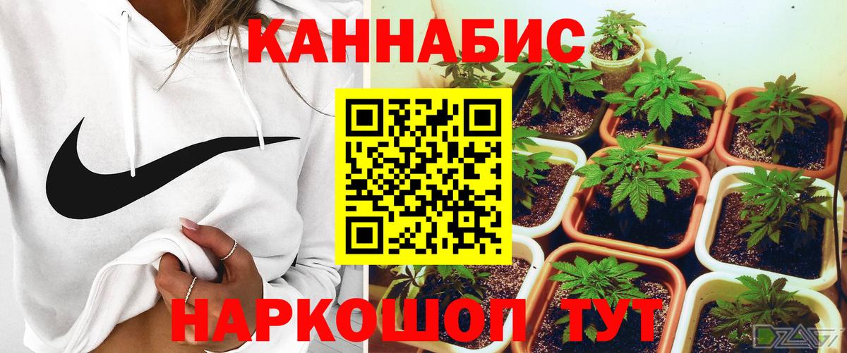 Конопля MAZAR Саянск